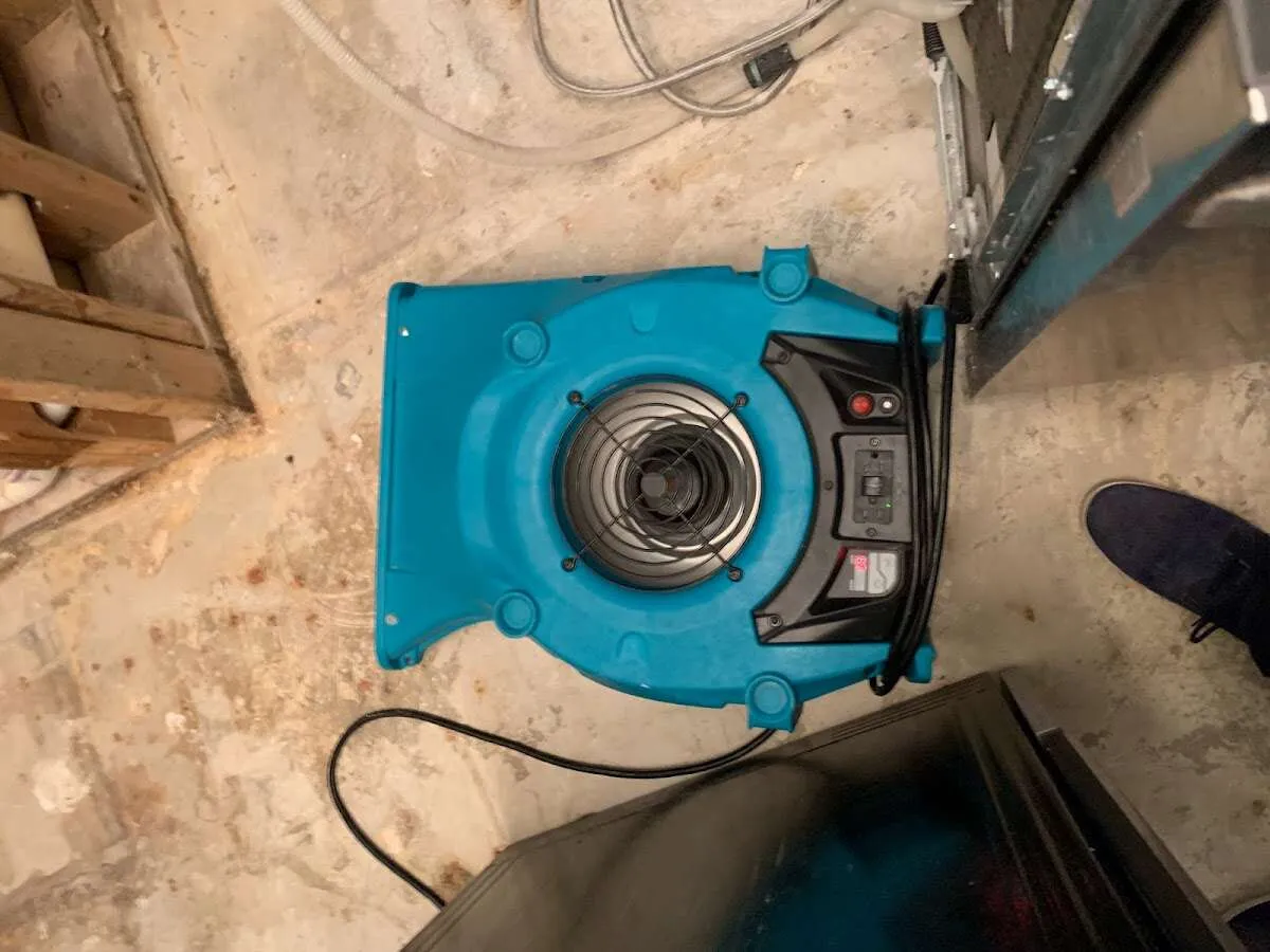 Air mover drying equipment for Mold Remediation & Removal in Donaldsonville